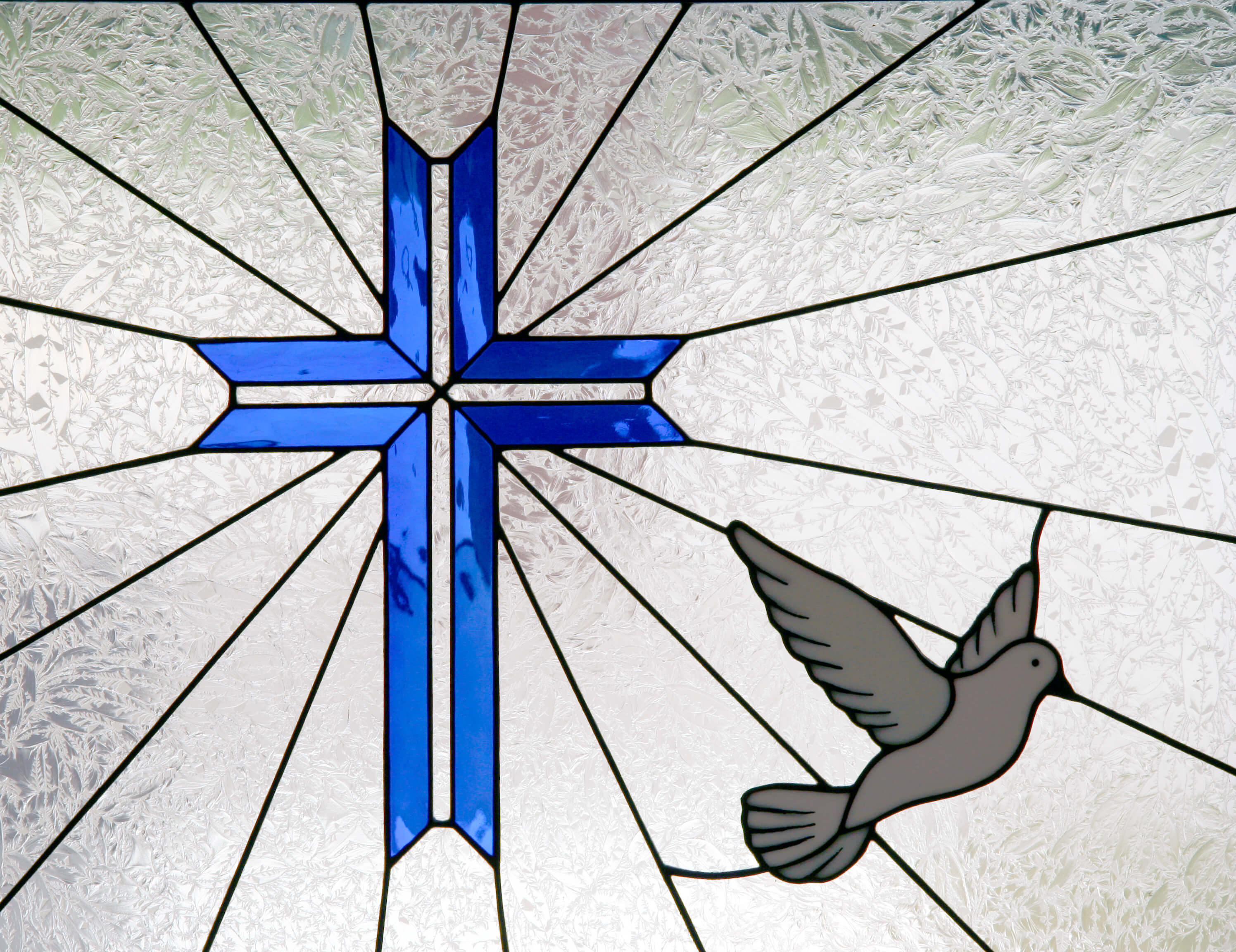 Holy Days Of Obligation St Francis Of Assisi